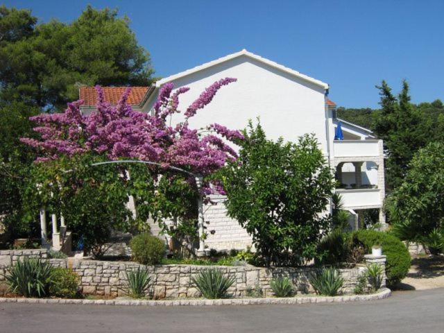 Apartments Sarah Medvinjak 외부 사진